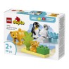 DUPLO FAMILIAS DE LA FAUNA SAL