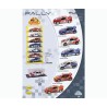 EXP.RALLY 7 PZAS