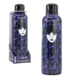 BOTELLA TERMO ACERO INOXIDABLE